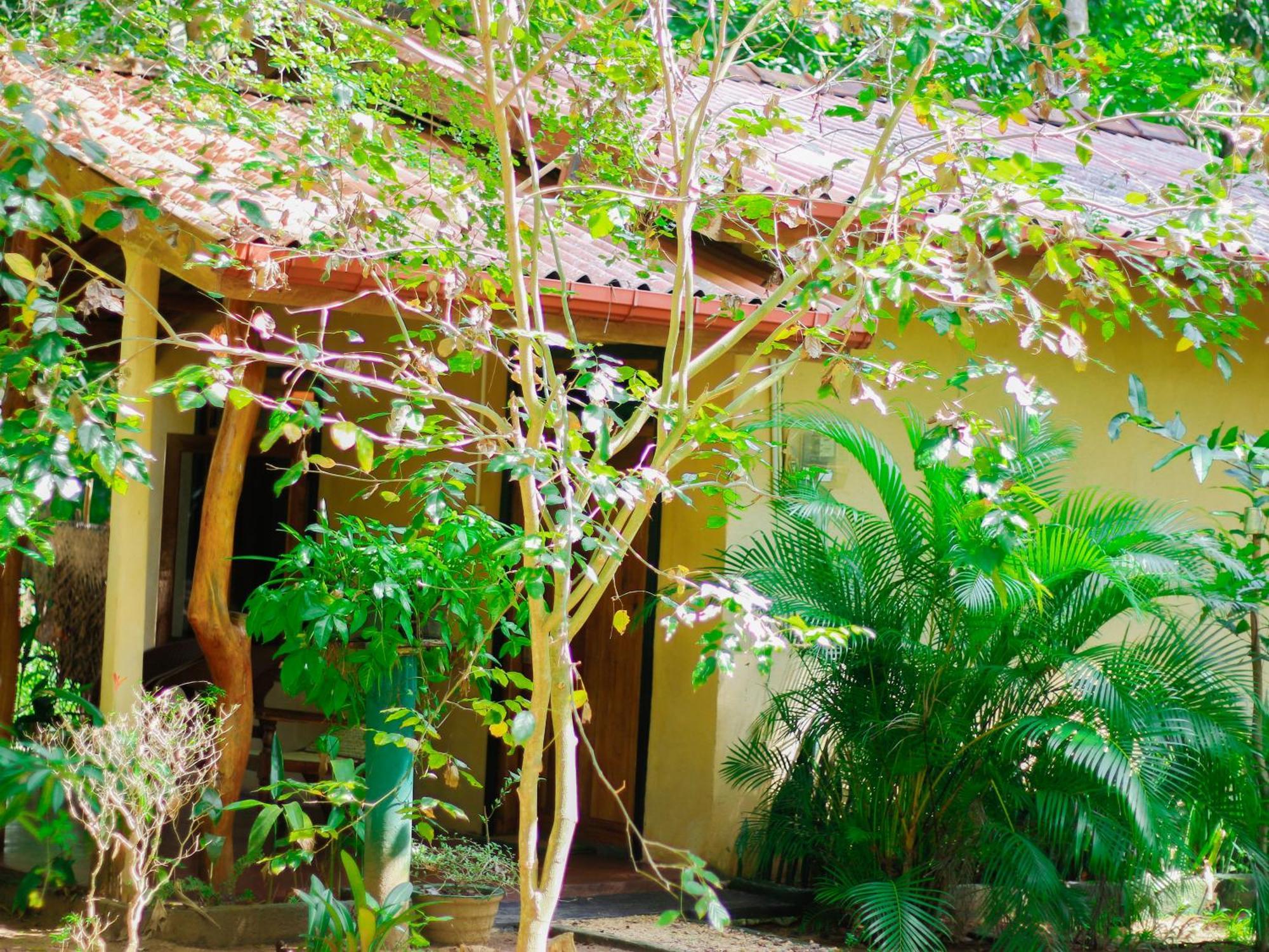 Joshua'S Cottage Sigiriya Exteriér fotografie
